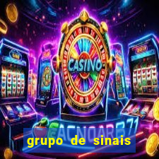 grupo de sinais trader telegram